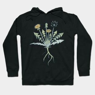 hand drawn spring dandelion pattern on blush pink Hoodie